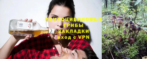 герыч Алексин