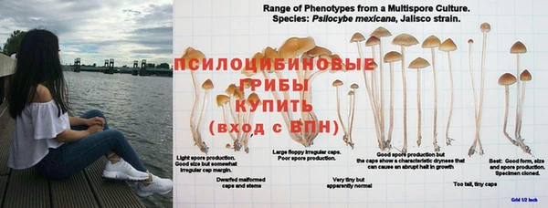бошки Алексеевка
