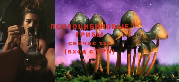 2c-b Нягань