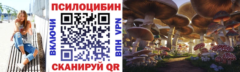 гидра ССЫЛКА  Мещовск  Галлюциногенные грибы мицелий 